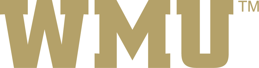 Western Michigan Broncos 2016-2021 Wordmark Logo iron on transfers for T-shirts